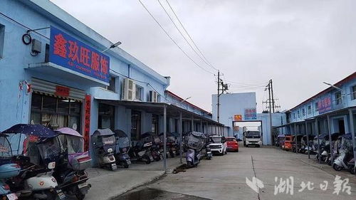 汉川引资千万盘活马口旧厂 万杉快洗领航，两千就业新机绽放